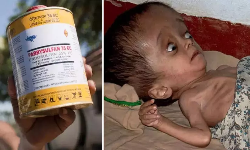 മു​ഖ്യ​മ​ന്ത്രി​യു​ടെ നി​ർ​ദേ​ശം; എ​ന്‍ഡോ​സ​ള്‍ഫാ​ന്‍ ദു​രി​ത​ബാ​ധി​ത​ര്‍ക്ക് 3.77 കോടി രൂപ