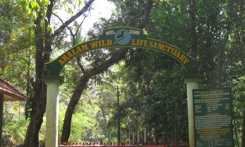 ആറളം വന്യജീവി ആക്രമണം: വകുപ്പുകളുടെ ഏകോപനം ആവശ്യമെന്ന്​ ഹൈകോടതി