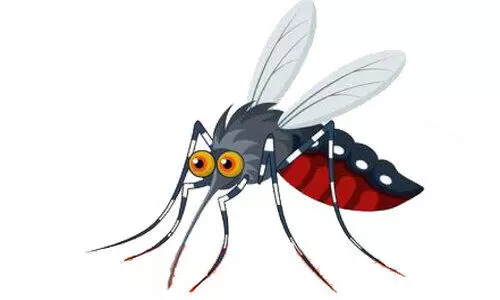 ഡെങ്കിപ്പനി; ഹോട്ട്സ്പോട്ടുകളിൽ വർധന ഡെങ്കിപ്പനി; ഹോട്ട്സ്പോട്ടുകളിൽ വർധന