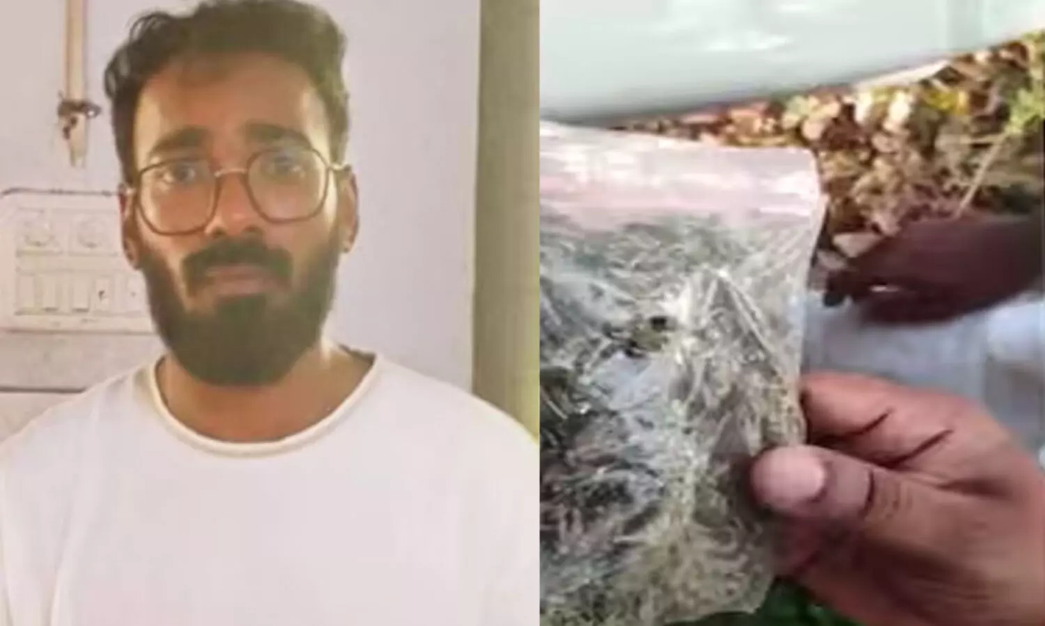 ആവേശം സിനിമയുടെ മേക്കപ്പ് മാൻ ഹൈബ്രിഡ് കഞ്ചാവുമായി പിടിയിൽ; കുടുങ്ങിയത് സിനിമ ലൊക്കേഷനിലേക്ക് പോകുന്നതിനിടെ