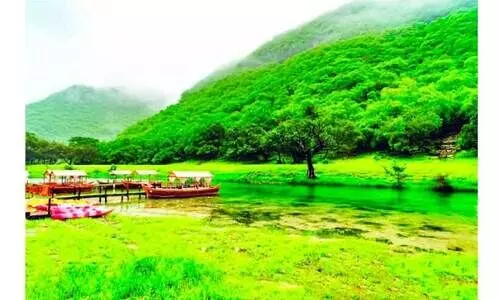 ഏ​റ്റ​വും കു​റ​ഞ്ഞ മ​ലി​നീ​ക​ര​ണം ഒ​മാ​ൻ ന​മ്പ​ർ വ​ൺ