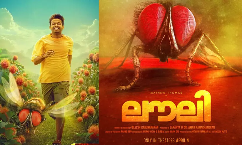 എനിക്ക് തോന്നുന്നത് നമ്മൾ തമ്മിൽ എന്തോ വൈബ് ഉണ്ടെന്നാ..., മാത്യു തോമസിന്‍റെ നായികയായി ഈച്ച, ലൗലി ടീസർ