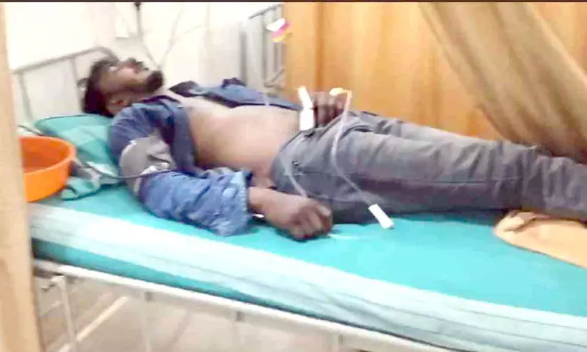 ഇല്ലിക്കൽകല്ലിൽ വിനോദസഞ്ചാരികൾക്ക് പെരുന്തേനീച്ചയുടെ കുത്തേറ്റു