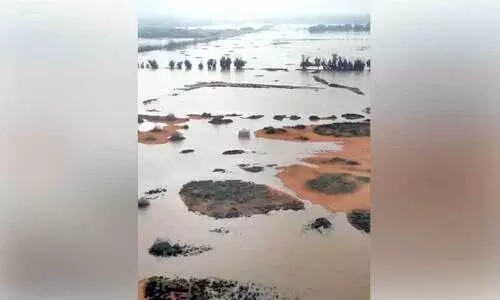 വ​രും ദി​വ​സ​ങ്ങ​ളി​ലും മ​ഴ​ക്കും മൂ​ട​ൽമ​ഞ്ഞി​നും സാ​ധ്യ​ത