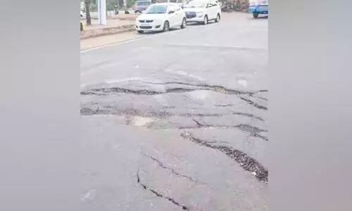 അപകടക്കെണിയായി പാലക്കാട്ടുതാഴം പാലത്തിലെ വിള്ളല്‍