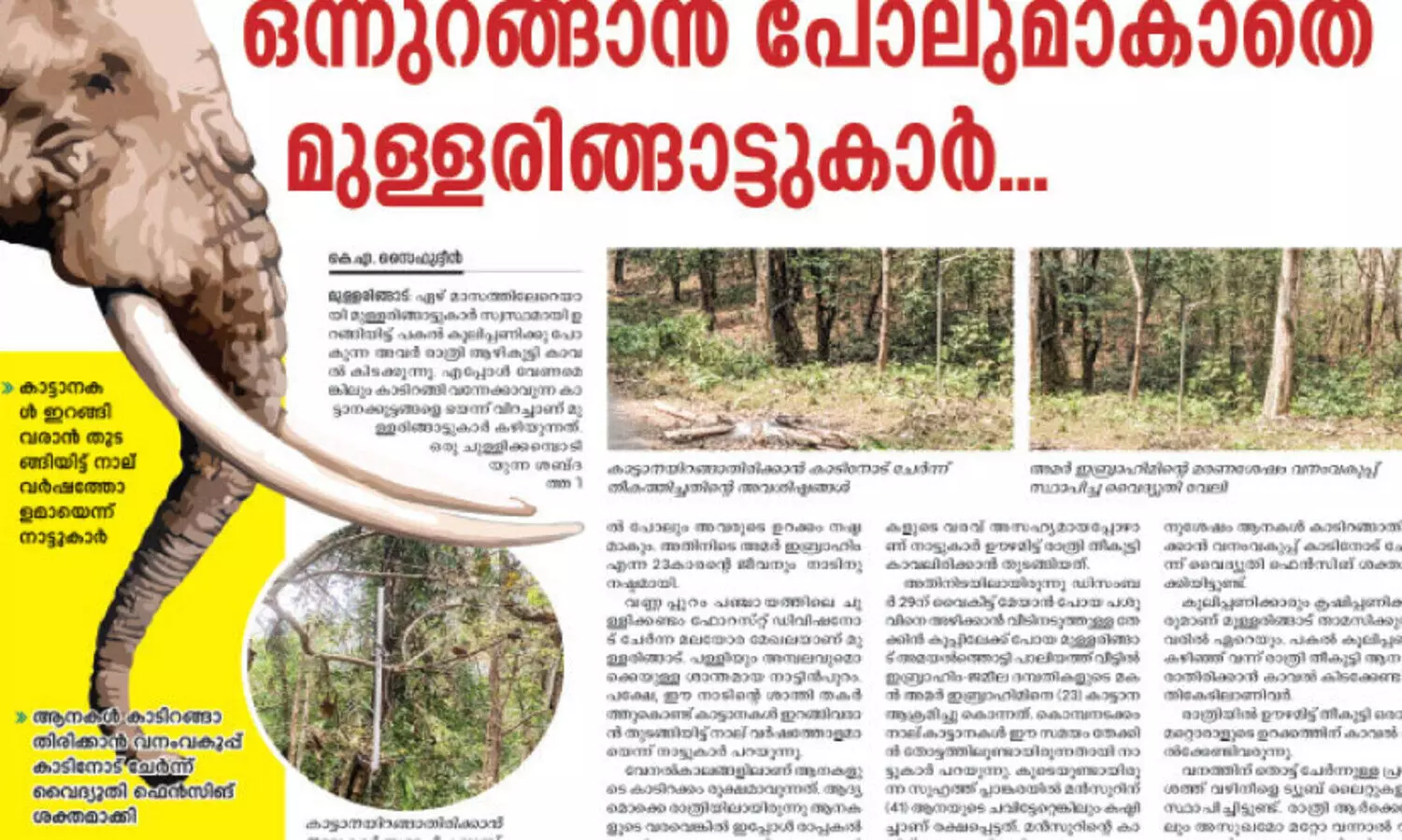 മുള്ളരിങ്ങാട്ടെ​​ കാട്ടാന ശല്യം; എം.​എ​ൽ.​എ ഫ​ണ്ടി​ൽ​നി​ന്ന്​ പ​ത്തു​ല​ക്ഷം അ​നു​വ​ദി​ച്ചു