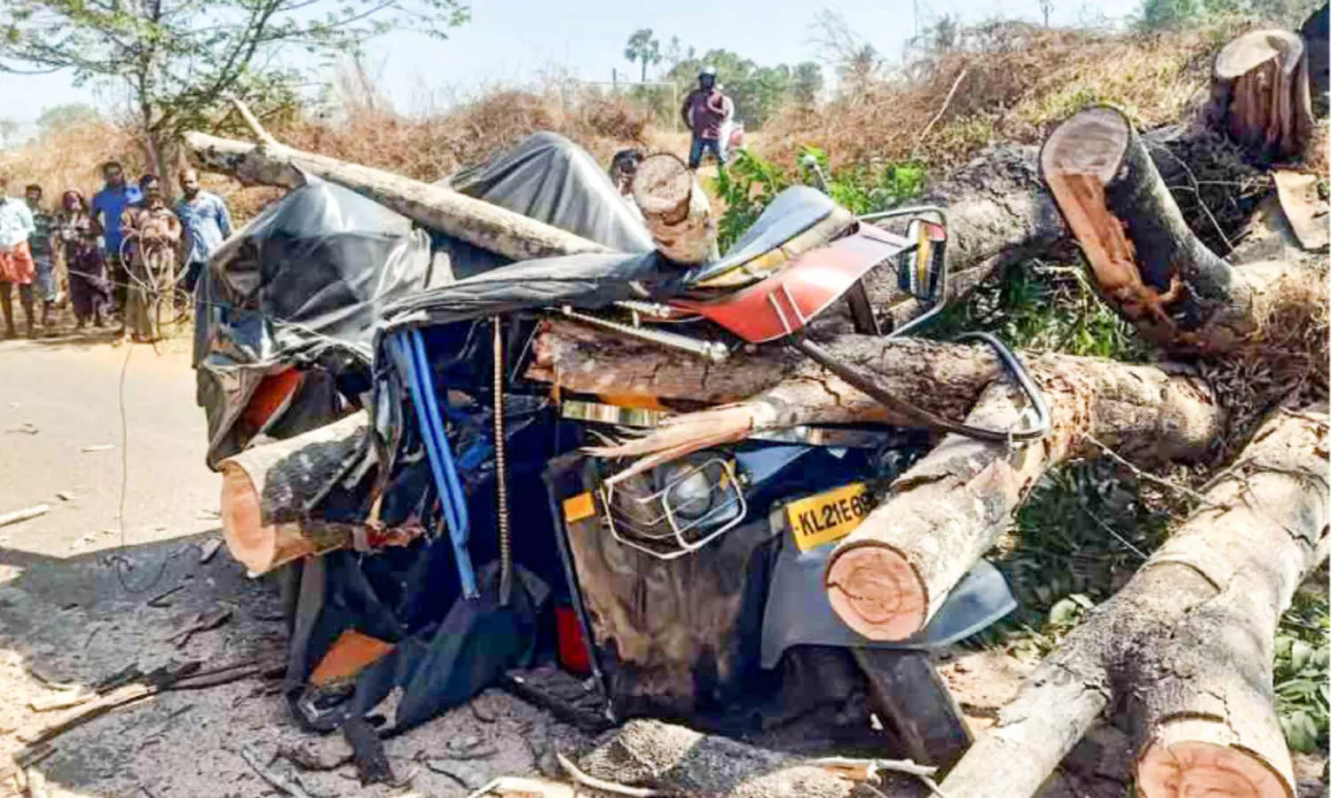 ഓട്ടോറിക്ഷക്ക് മുകളിൽ മരം കടപുഴകി വീണു; അച്ഛനും മകനും ഗുരുതര പരിക്ക്