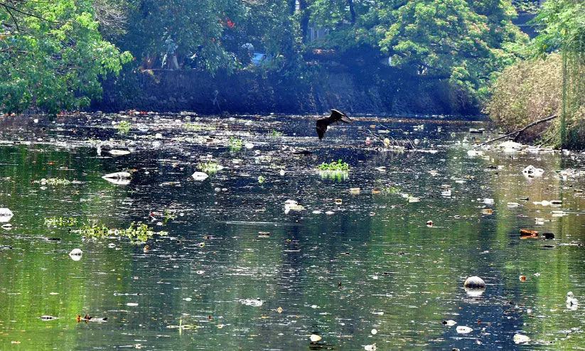 അ​ന്ത്യ​ശ്വാ​സം വലിച്ച് കനോലി കനാൽ; പ്രഖ്യാപനങ്ങൾ കടലാസിൽ മാത്രം