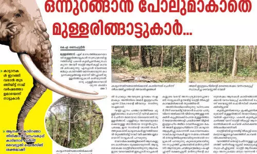 മുള്ളരിങ്ങാട്ടെ കാട്ടാന ശല്യം; എം.എൽ.എ ഫണ്ടിൽനിന്ന് പത്തുലക്ഷം അനുവദിച്ചു മുള്ളരിങ്ങാട്ടെ കാട്ടാന ശല്യം; എം.എൽ.എ ഫണ്ടിൽനിന്ന് പത്തുലക്ഷം അനുവദിച്ചു