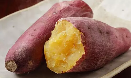 മധുരക്കിഴങ്ങ് കഴിച്ചാൽ പ്രമേഹം വർധിക്കുമോ? മധുരക്കിഴങ്ങ് കഴിച്ചാൽ പ്രമേഹം വർധിക്കുമോ?