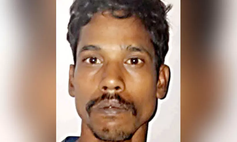 13 കി​ലോ ക​ഞ്ചാ​വു​മാ​യി ഒ​രാ​ൾ പി​ടി​യി​ൽ