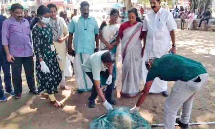 കൊടുങ്ങല്ലൂരിൽ തെരുവുനായ്ക്കൾക്ക് കുത്തിവെപ്പ് ​ആരംഭിച്ചു