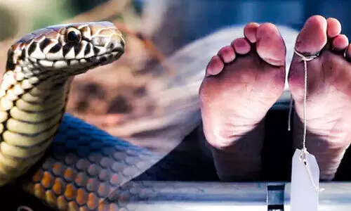 പാ​മ്പുക​ടി മ​ര​ണ​ങ്ങ​ൾ കു​റ​യു​ന്നു