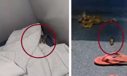 സീറ്റിലും നിലത്തുമെല്ലാം എലികൾ; സെക്കൻഡ് എ.സി കോച്ചിലെ യാത്ര ദുരിതം വിവരിച്ച് യുവാവ് -വിഡിയോ