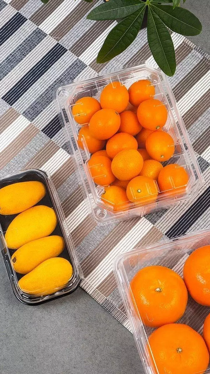 വീട്ടിലൊളിഞ്ഞിരിക്കുന്ന അർബുദകാരികളായ നിത്യോപയോഗ വസ്തുക്കളെ അറിഞ്ഞിരിക്കാം