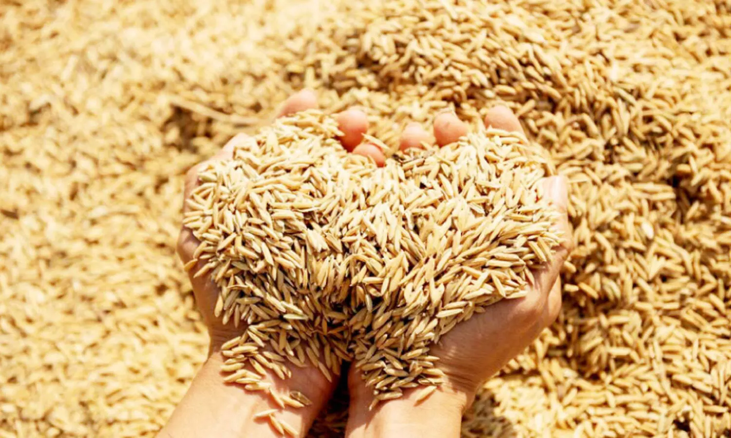 അയ്മനം ‘ജെ’ ബ്ലോക്കിലെ നെല്ല്​ സംഭരണം അനിശ്ചിതത്വത്തിൽ തന്നെ