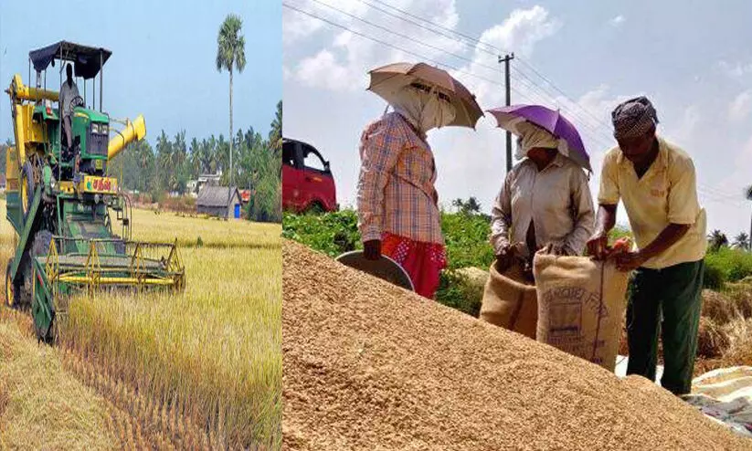 2024-25 ൽ ഇതുവരെ 71,239 കർഷകരിൽ നിന്നായി 1.6 ലക്ഷം മെട്രിക് ടൺ നെല്ല് സംഭരിച്ചു