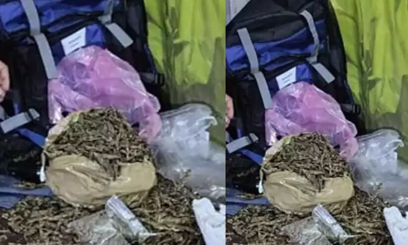 Kalamassery Polytechnic Cannabis Case