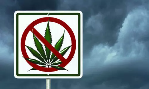 കൊച്ചിയിലെ കോളജ് ഹോസ്റ്റലിൽ വൻ കഞ്ചാവ് വേട്ട; രണ്ട് കിലോ പിടിച്ചെടുത്തു