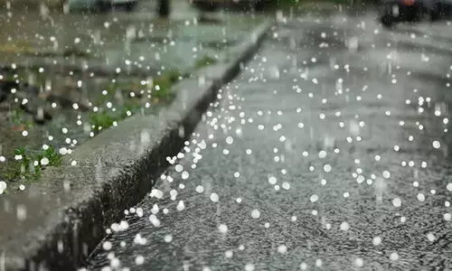 ആ​ശ്വാ​സ മ​ഴ​ക്കൊ​പ്പം ആ​ലി​പ്പ​ഴ വ​ർ​ഷ​വും