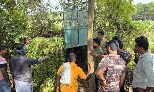 മമ്പാട് ഇളമ്പുഴയിൽ  പുലിക്കെണി സ്ഥാപിച്ച് വനം വകുപ്പ്