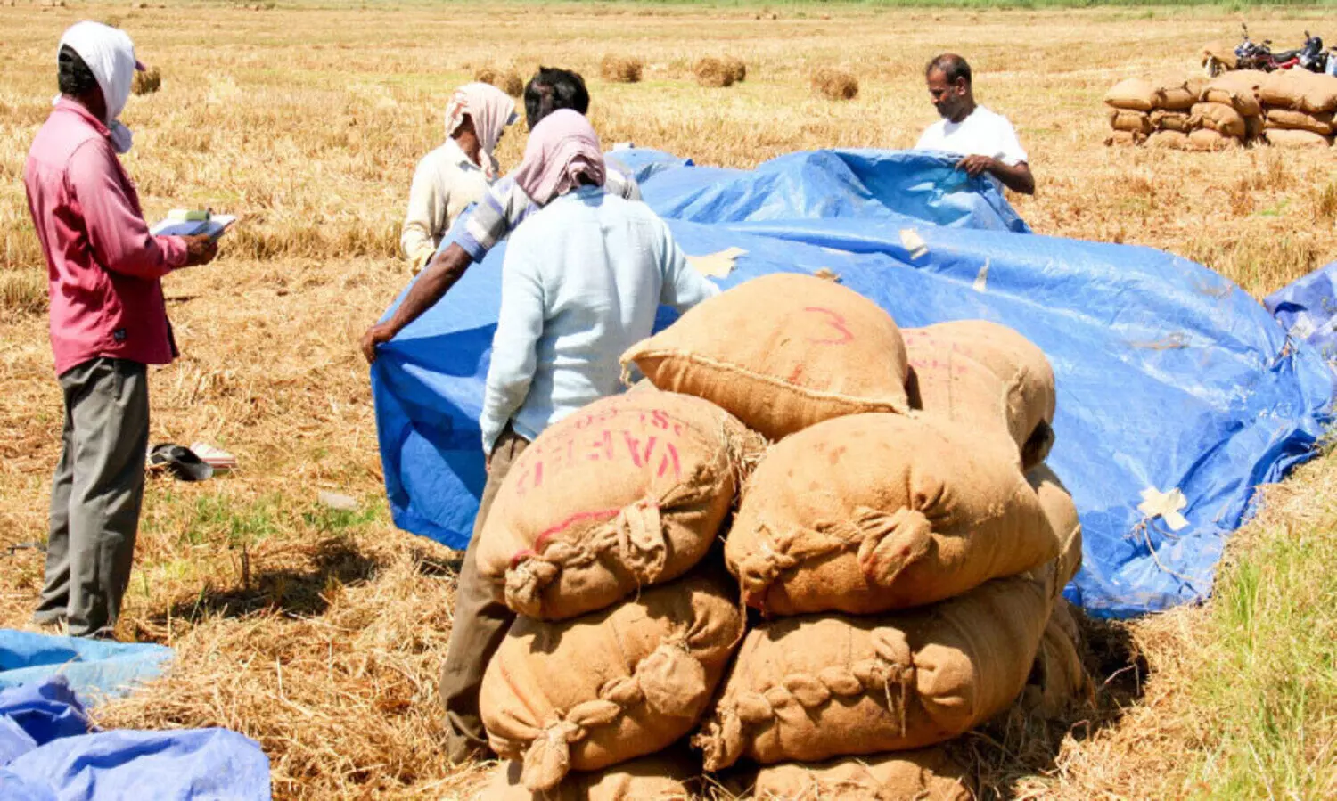 കാത്തിരുന്ന മഴയെത്തി; കർഷകർക്ക് കണ്ണീർമഴ