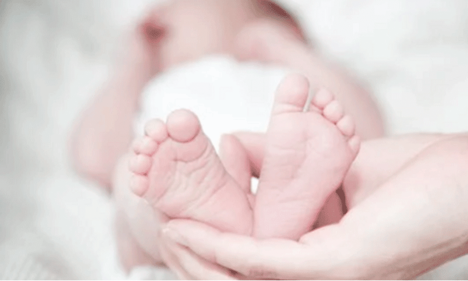 ശരീരത്തിൽ 17 ഒടിവുകൾ, ഗർഭസ്ഥ ശിശുവിനെ നഷ്ടമായി; ഭർത്താവ് പാറക്കെട്ടുകളിലേക്ക് വലിച്ചെറിഞ്ഞതിനെ തുടർന്ന് ജീവിതം നരകതുല്യമായ സ്ത്രീയുടെ കഥ