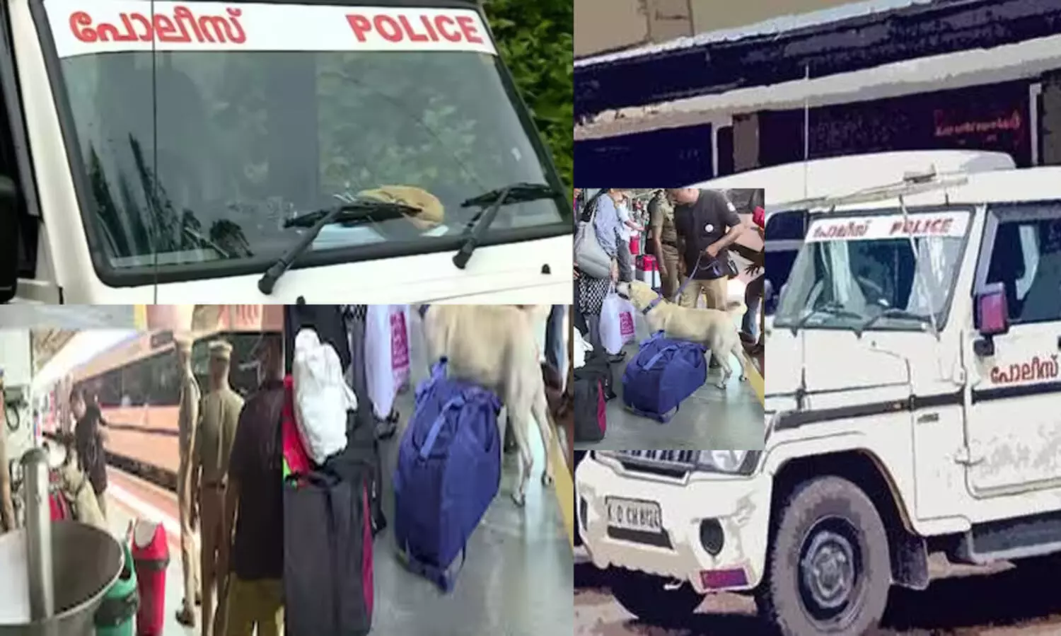 ഓപ്പറേഷന്‍ ഡി-ഹണ്ട്: 234 പേരെ അറസ്റ്റ് ചെയ്തു