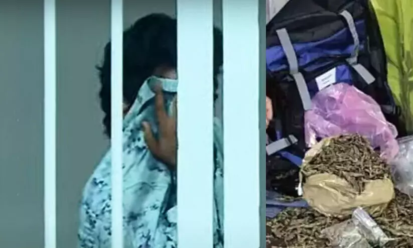 kalamassery-polytechnic-cannabis-case