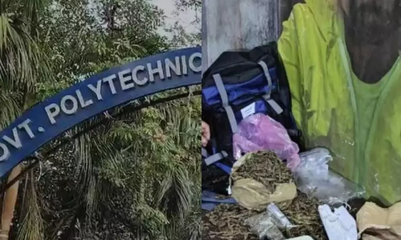 കഞ്ചാവ് വേട്ട കൃത്യമായ വിവരത്തിന്‍റെ അടിസ്ഥാനത്തിലെന്ന് പൊലീസ്