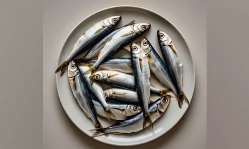 വില കുറവെങ്കിലും വളർച്ച മുരടിച്ച കുഞ്ഞൻ മത്തിയോട് മുഖം തിരിച്ച് ഭൂരിഭാഗം പേരും