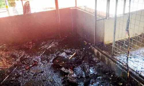 അ​ന​ധി​കൃ​ത​മാ​യി സൂ​ക്ഷി​ച്ച പ​ട​ക്ക​ശേ​ഖ​രം പൊ​ട്ടി​ത്തെ​റി​ച്ചു