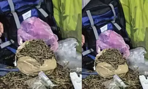 Kalamassery Polytechnic College, Cannabis Raid