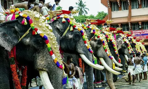 ആ​ന​ എ​ഴു​ന്ന​ള്ളി​പ്പ് വ്യ​വ​സ്ഥ​ക​ൾ ക​ർ​ശ​ന​മാ​ക്കി