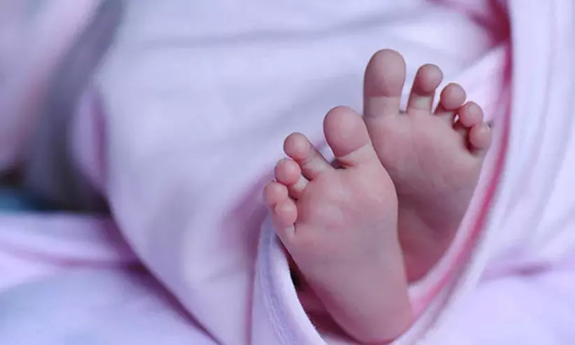 ന​വ​ജാ​ത ശി​ശു​വി​നെ മാ​താ​വ് കു​റ്റി​ക്കാ​ട്ടി​ൽ ഉ​പേ​ക്ഷി​ച്ചു; ഇ​ട​യ സ്ത്രീ​ക​ൾ ക​ണ്ടെ​ത്തി മു​ല​യൂ​ട്ടി