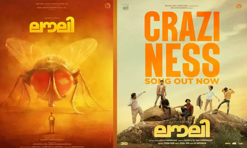 മാത്യുവിന്റെ നായികയായി ഈച്ച! ത്രീഡി ചിത്രം ലൗലിയിലെ ഗാനം പുറത്ത് മാത്യുവിന്റെ നായികയായി ഈച്ച! ത്രീഡി ചിത്രം ലൗലിയിലെ ഗാനം പുറത്ത്