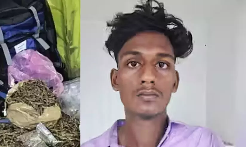 Cannabis Case, Kalamassery Polytechnic College