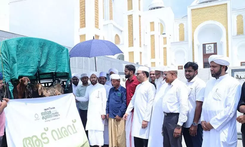 ബദ്റുല്‍ കുബ്റ: ആടുകളുമായെത്തിയവര്‍ക്ക് നോളജ് സിറ്റിയില്‍ വരവേല്‍പ്പ്