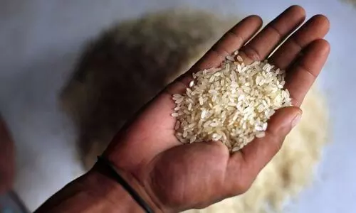 നീല, വെള്ള റേഷൻ കാർഡ് ഉടമകൾക്ക് അരിവില കൂട്ടാൻ ശിപാർശ, സെസ് പിരിക്കാനും ആലോചന