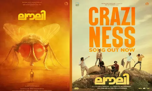 മാത്യുവിന്‍റെ നായികയായി ഈച്ച! ത്രീഡി ചിത്രം ലൗലിയിലെ ഗാനം പുറത്ത്
