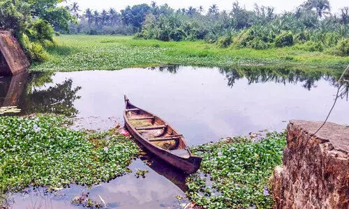 ചെങ്ങൽത്തോട് ശുചീകരണം അനിശ്ചിതത്വത്തിൽ