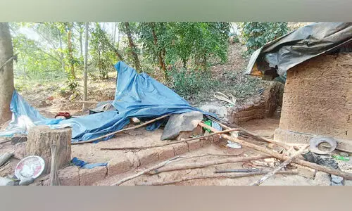 ആറളത്ത് കാട്ടാന വീടിന്റെ ഷെഡ് തകർത്തു