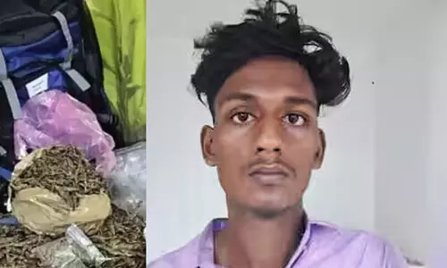 Cannabis Case, Kalamassery Polytechnic College Cannabis Case, Kalamassery Polytechnic College