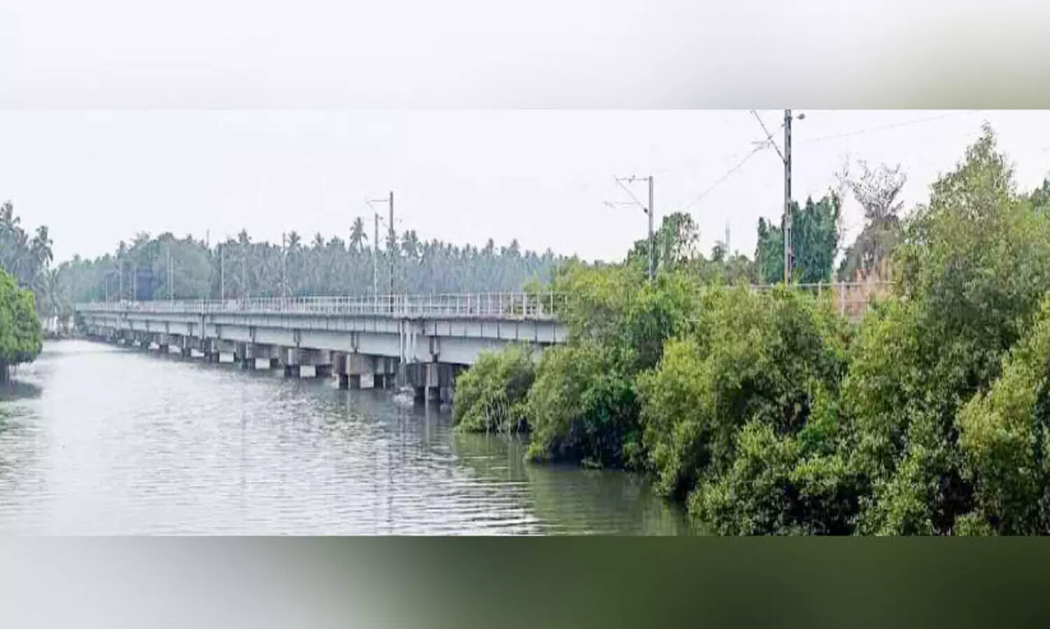 ല​ഹ​രി​സം​ഘം പി​ടി​മു​റു​ക്കി ക​ട​ലു​ണ്ടി റെ​യി​ൽ​വേ പാ​ല​വും ക​ണ്ട​ൽ കാ​ടു​ക​ളും