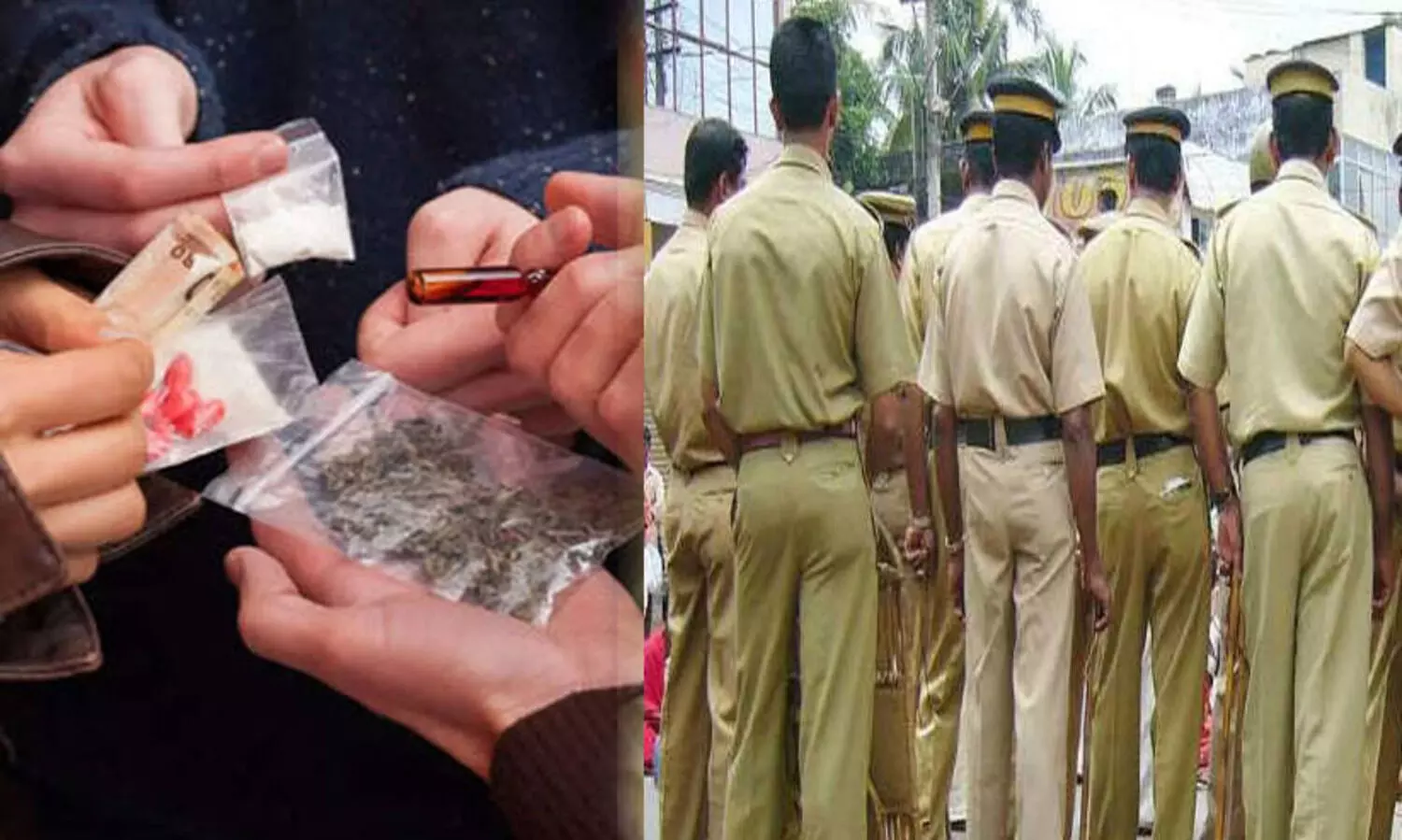 ഓപറേഷന്‍ ഡി-ഹണ്ട്: 254 പേർ അറസ്റ്റിൽ, പിടികൂടിയത് 29.1 ഗ്രാം എം.ഡി.എം.എ, ആറു കിലോ കഞ്ചാവ്