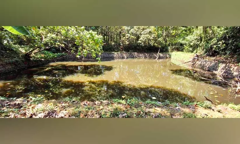 കുളമുണ്ട്, വെള്ളവുമുണ്ട്; എത്തിപ്പെടാന്‍ വഴിയില്ല; വെ​ള്ള​ത്തി​നാ​യി നെ​ട്ടോ​ട്ട​മോ​ടി ജനങ്ങൾ