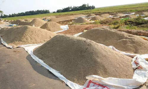 9000 പാടശേഖരത്തിൽ നെല്ലുസംഭരണം ആരംഭിച്ചു