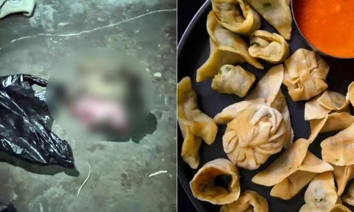 മോമോസ് ഫാക്ടറിയിലെ റെഫ്രിജറേറ്ററിൽ നായയുടെ തല; ജീവനക്കാർ ഒളിവിൽ