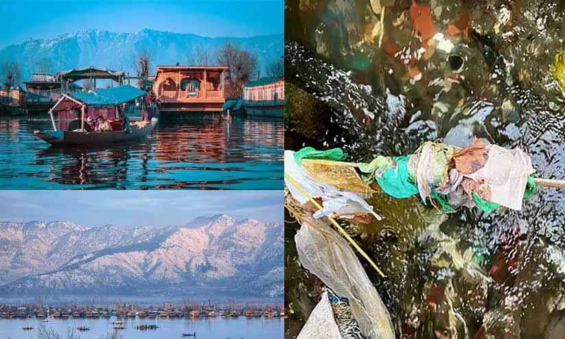 ‘പറുദീസ’യിലെ വിഷഭീഷണി: ദാൽ തടാകത്തിൽ മാരകമായ വിഷലോഹ സാന്നിധ്യമെന്ന് പഠനം ‘പറുദീസ’യിലെ വിഷഭീഷണി: ദാൽ തടാകത്തിൽ മാരകമായ വിഷലോഹ സാന്നിധ്യമെന്ന് പഠനം