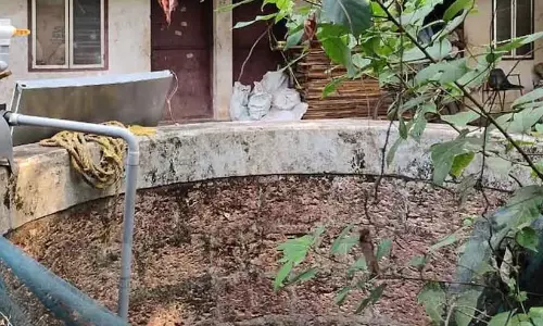 വളർത്തച്ഛന്റെ സ്നേഹം നഷ്ടപ്പെടുമോയെന്ന ഭയം 12കാരിയെ കൊലപാതകിയാക്കി; വിശ്വസിക്കാനാകാതെ കുടുംബം വളർത്തച്ഛന്റെ സ്നേഹം നഷ്ടപ്പെടുമോയെന്ന ഭയം 12കാരിയെ കൊലപാതകിയാക്കി; വിശ്വസിക്കാനാകാതെ കുടുംബം